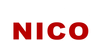 Reformas Y Pintores Nico logo
